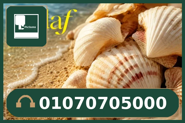 قرية صدف الساحل الشمالي | Village Sadaf North Coast لشركة نيو بلان