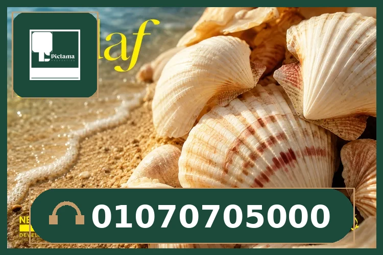 قرية صدف الساحل الشمالي | Village Sadaf North Coast لشركة نيو بلان
